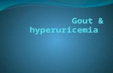Gout &  hyperuricemia
