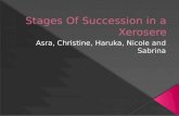 Stages Of Succession in a  Xerosere
