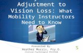 The Psychosocial Adjustment to Vision Loss:  What Mobility Instructors Need to Know