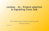 Lecture  13  –  Project selection &  Signalling  Cross Talk