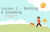 Lesson 2 – Bathing & Grooming
