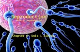 Reproduction Ways of reproducing