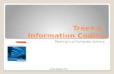 Trees &  Information Coding