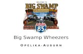 Big Swamp Wheezers