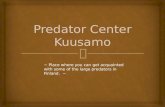 Predator  Center Kuusamo