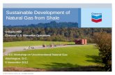 Sustainable Development of Natural Gas from Shale