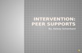 Intervention: Peer Supports