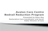 Avalon Care Centre Bedrail Reduction Progra m