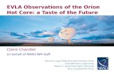 EVLA Observations of the Orion Hot Core: a Taste of the Future