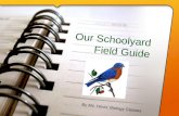 Our Schoolyard Field Guide