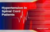 Hypertension in  Spinal Cord  Patients