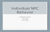 Individual NPC Behavior