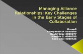Managing Alliance Relationships: Key Challenges in the Early Stages of Collaboration