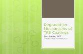 Degradation Mechanisms of TPB Coatings