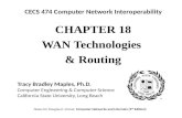 CHAPTE R 18 WAN Technologies  & Routing