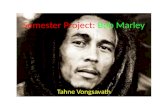 Semester Project:  Bob Marley