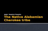 The Native Alabamian  C herokee tribe