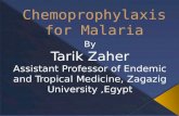 Chemoprophylaxis for Malaria
