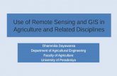 Use of Remote  Sensing and GIS in Agriculture and Related Disciplines