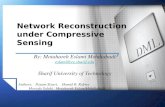 Network Reconstruction under Compressive Sensing