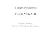 Budget Revisions Oracle Web ADI