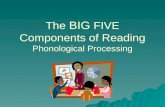 The  BIG  FIVE Components of Reading Phonological Processing