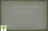 Schoolyard Ecology GEMS GEMS