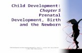 Child Development:  Chapter 5 Prenatal Development, Birth and the Newborn