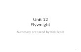 Unit 12 Flyweight