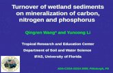 Turnover of wetland sediments on mineralization of carbon, nitrogen and phosphorus
