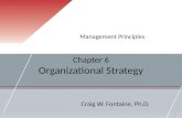 Chapter 6 Organizational Strategy