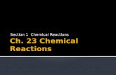 Ch. 23 Chemical Reactions