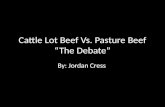 Cattle Lot Beef Vs. Pasture Beef “The Debate”