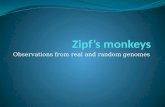 Zipf’s  monkeys