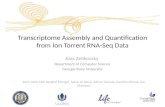 Transcriptome Assembly and Quantification  from Ion  Torrent RNA-Seq Data
