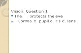 Vision: Question 1 The protects the eye Corneab. pupilc. irisd. lens