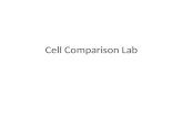 Cell Comparison Lab