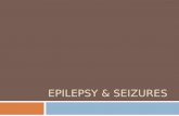 Epilepsy & Seizures