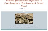 Vibrio parahaemolyticus  is Coming to a Restaurant Near You !