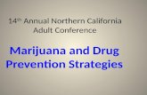 14 th  Annual Northern California Adult Conference