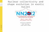 Nuclear collectivity and shape evolution in exotic nuclei