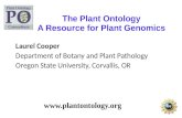 The Plant Ontology A Resource for Plant Genomics