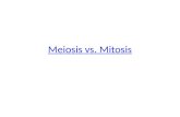Meiosis vs. Mitosis