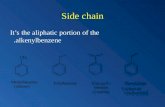 Side chain