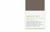 BRAIN ART How and Why We Study the Brain