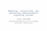 Modeling, visualizing, and annotating  immunoreceptor  signaling systems