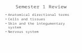 Semester 1 Review