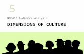NM3413 Audience  Analysis