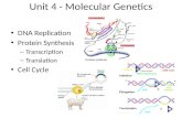 Unit 4 - Molecular Genetics