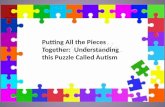 Putting All the Pieces Together:  Understanding this Puzzle Called Autism